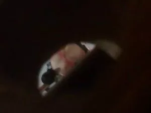 معلم, بد خلق, سکسهای ...
