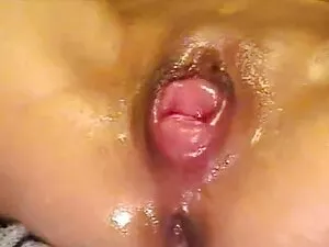 بچه گربه نوجوان نواز ...