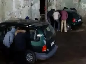 بیدمشک خیس از یک سگ  ...