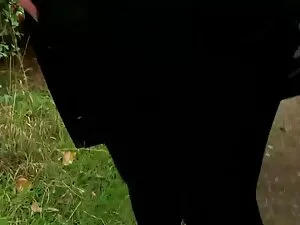 با توجه به تلفن از د ...