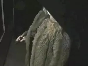سبزه کردم یک عکس سکس ...